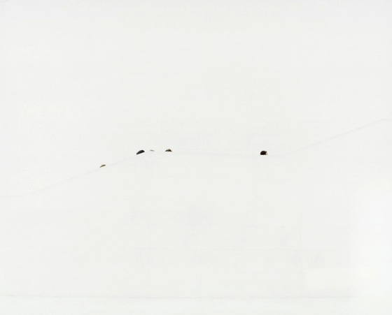 Maiko Haruki "outer portrait 7" (2009), Courtesy of TARO NASU