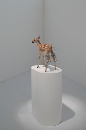 Motohiko Odani "Erectro (Bambi)" stuffed deer and aluminium cast, 2003, courtesy of Mori art museum. photo by Keizo Kioku 