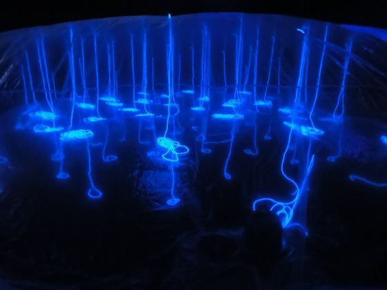 Installation by Yasuaki Onishi, depicting the primitive ocean floor. Light was a symbol of a unique absolute being for Taro Okamoto, which comes and goes time universally. 